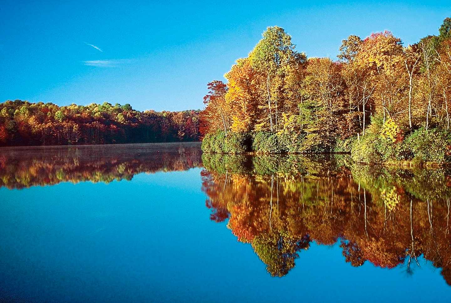 indian-summer-p-U12823.jpg