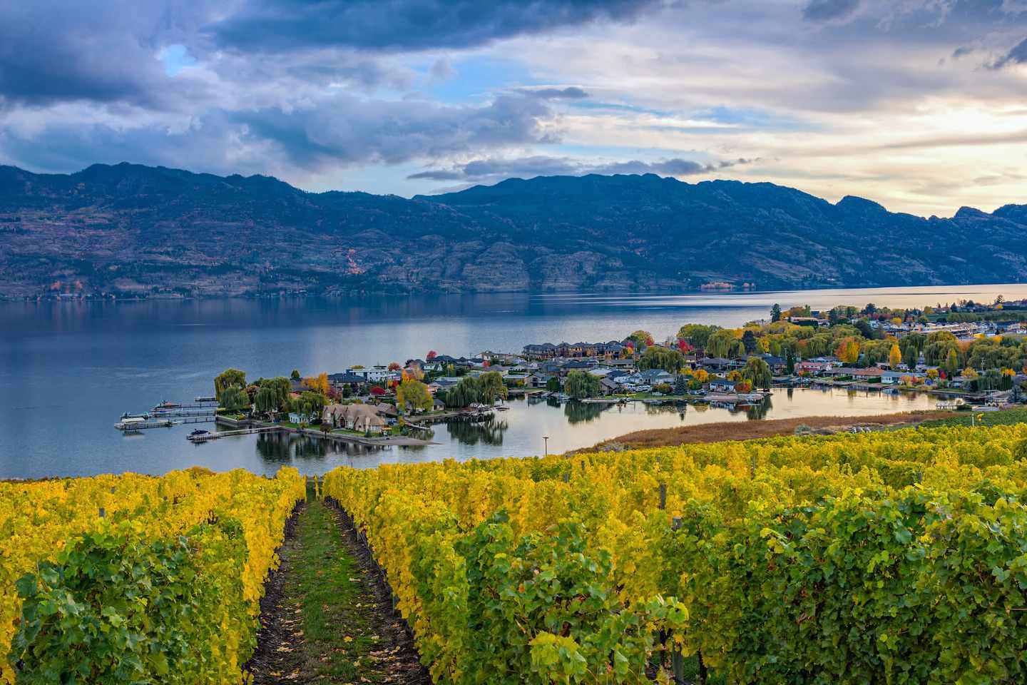 kanada-westkanada-kelowna-okanagan-lake-g-638488024.jpg