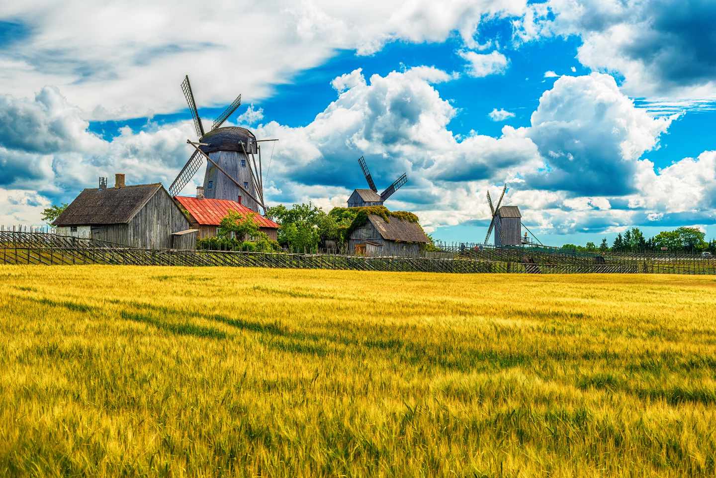 estland-sareema-windmühlen-klein-g-825866754.jpg