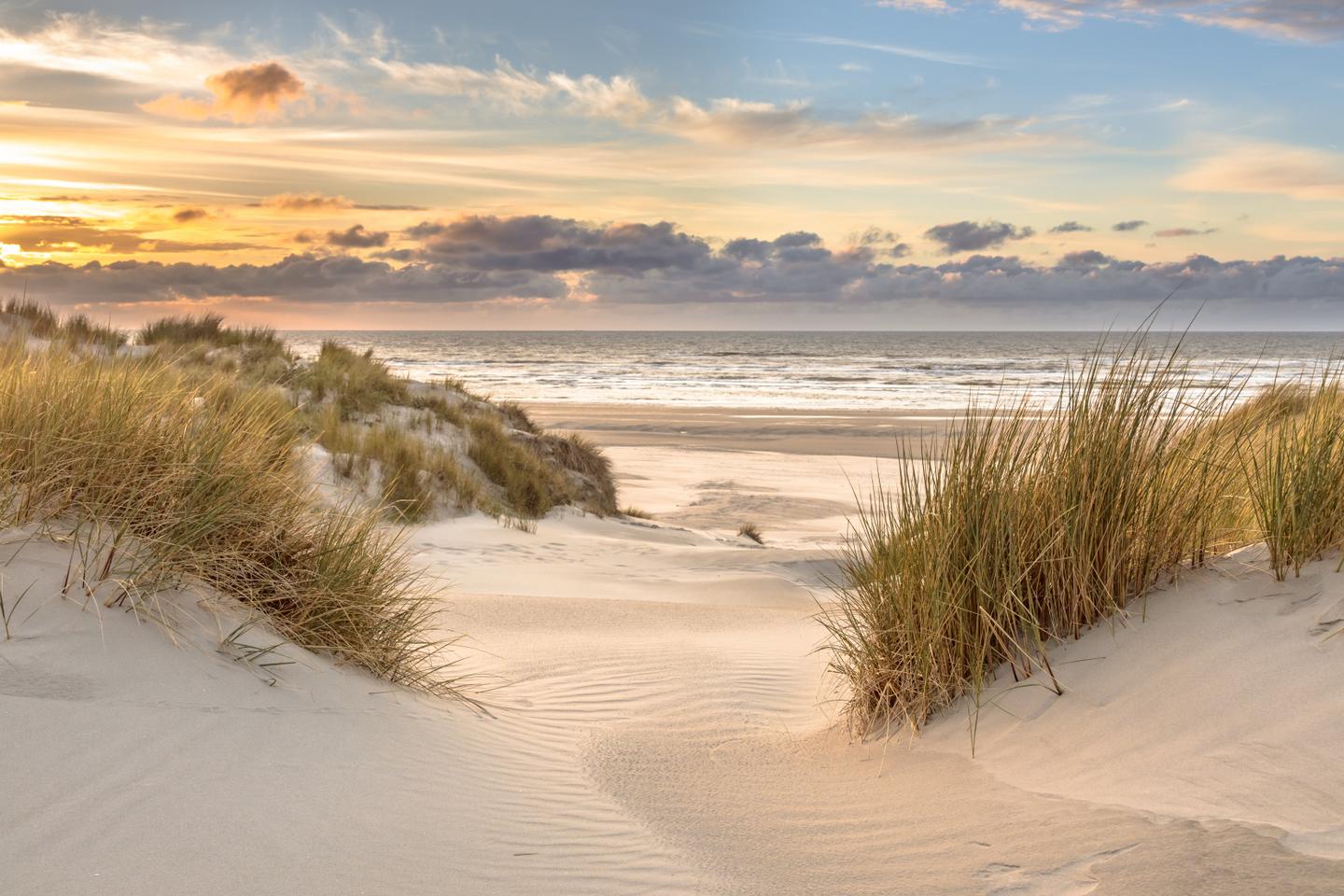bltd3be90a9fee30fc5-niederlande-friesland-ameland-blick-duenenspitze-sonnenuntergang-nordsee-g-1302442639.jpg niederlande-friesland-ameland-blick-duenenspitze-sonnenuntergang-nordsee-g-1302442639.jpg