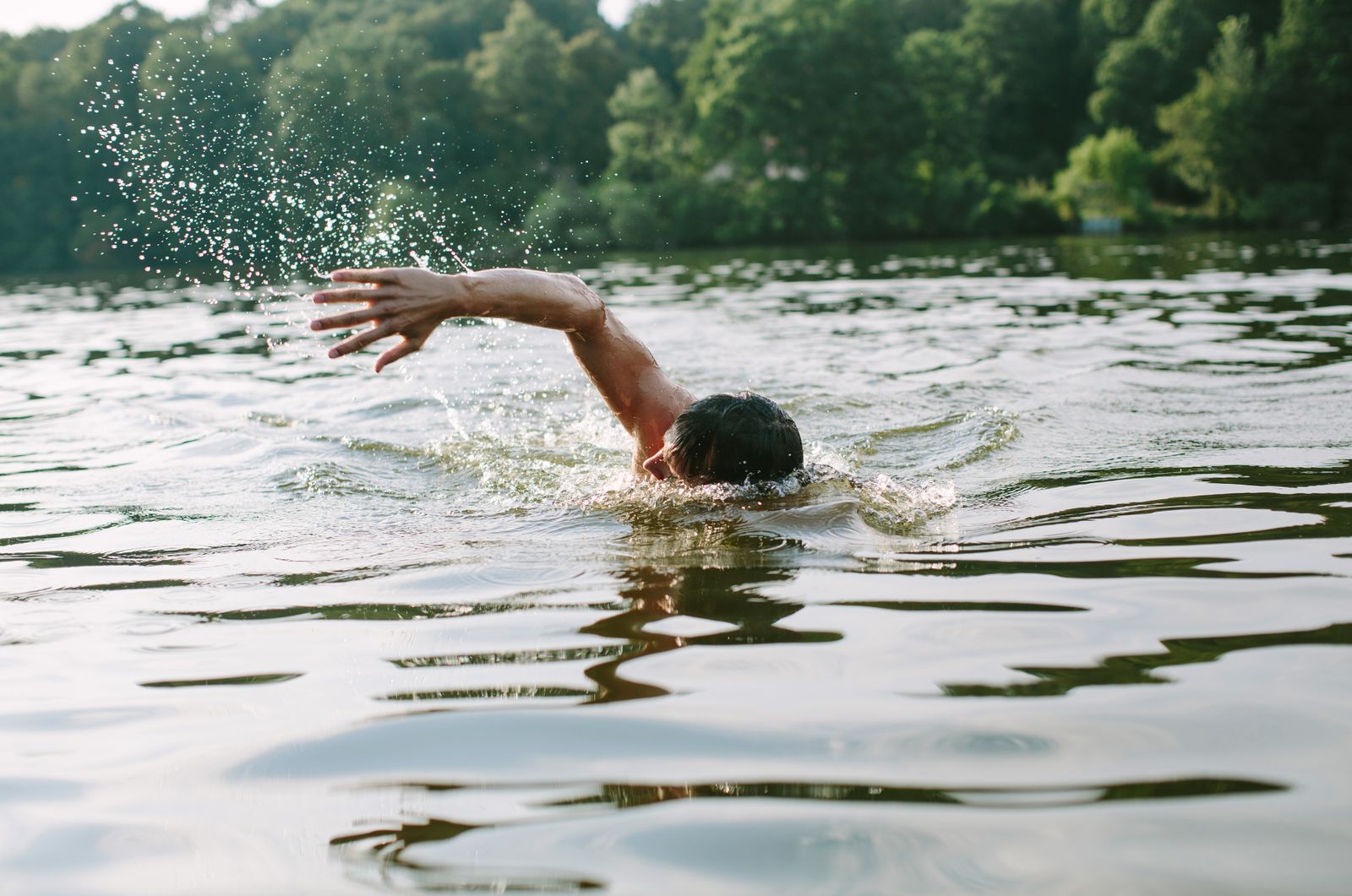 Seen Oberösterreich Mann schwimmt im Wasser