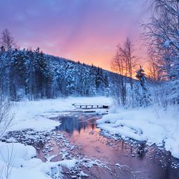 Hotel Lappland