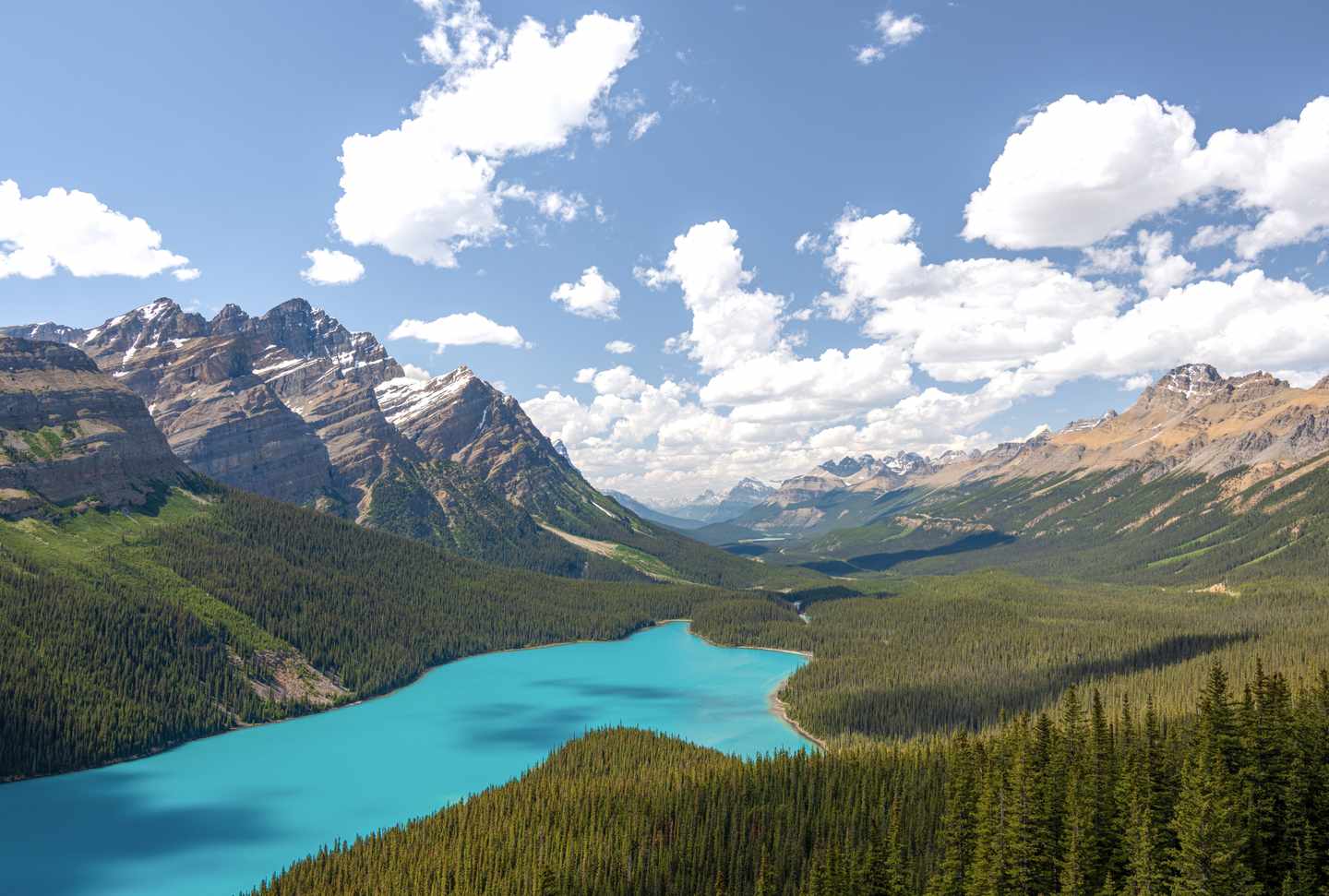 Peyto Lake mit türkisfarbenem Gletscherwasser zwischen Nadelwäldern und den Rocky Mountains im Banff National Park