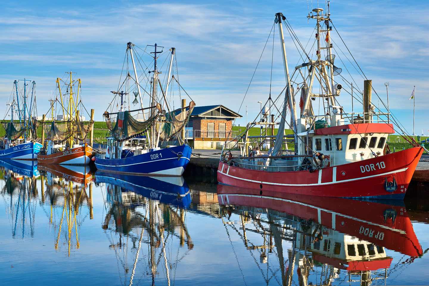 dorum-hafen-klein-g-1279980509.jpg