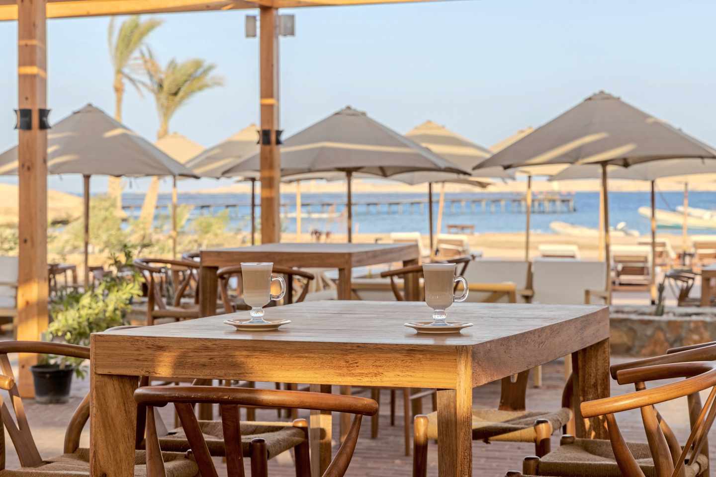aegypten-naga-bay-aldiana-terrasse-strandblick-DER1621226 (1).jpg