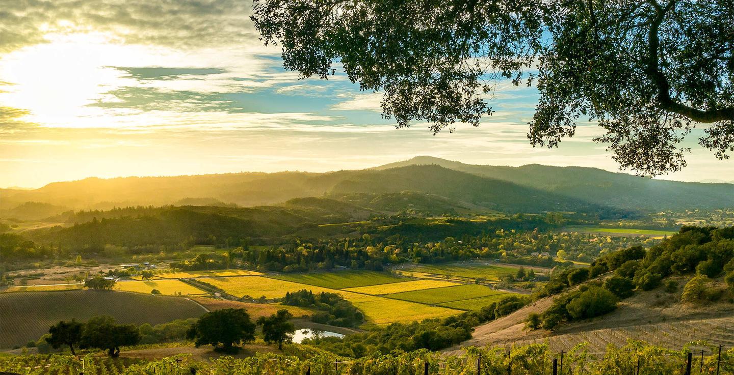 usa-kalifornien-sonoma-sonnenuntergang-ueber-weinberg-mit-blick-in-die-stadt-g-547146104.jpg