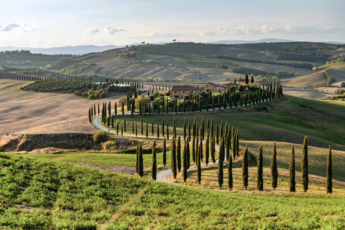 italien-toskana-zypressenallee-g-1316641428.jpg
