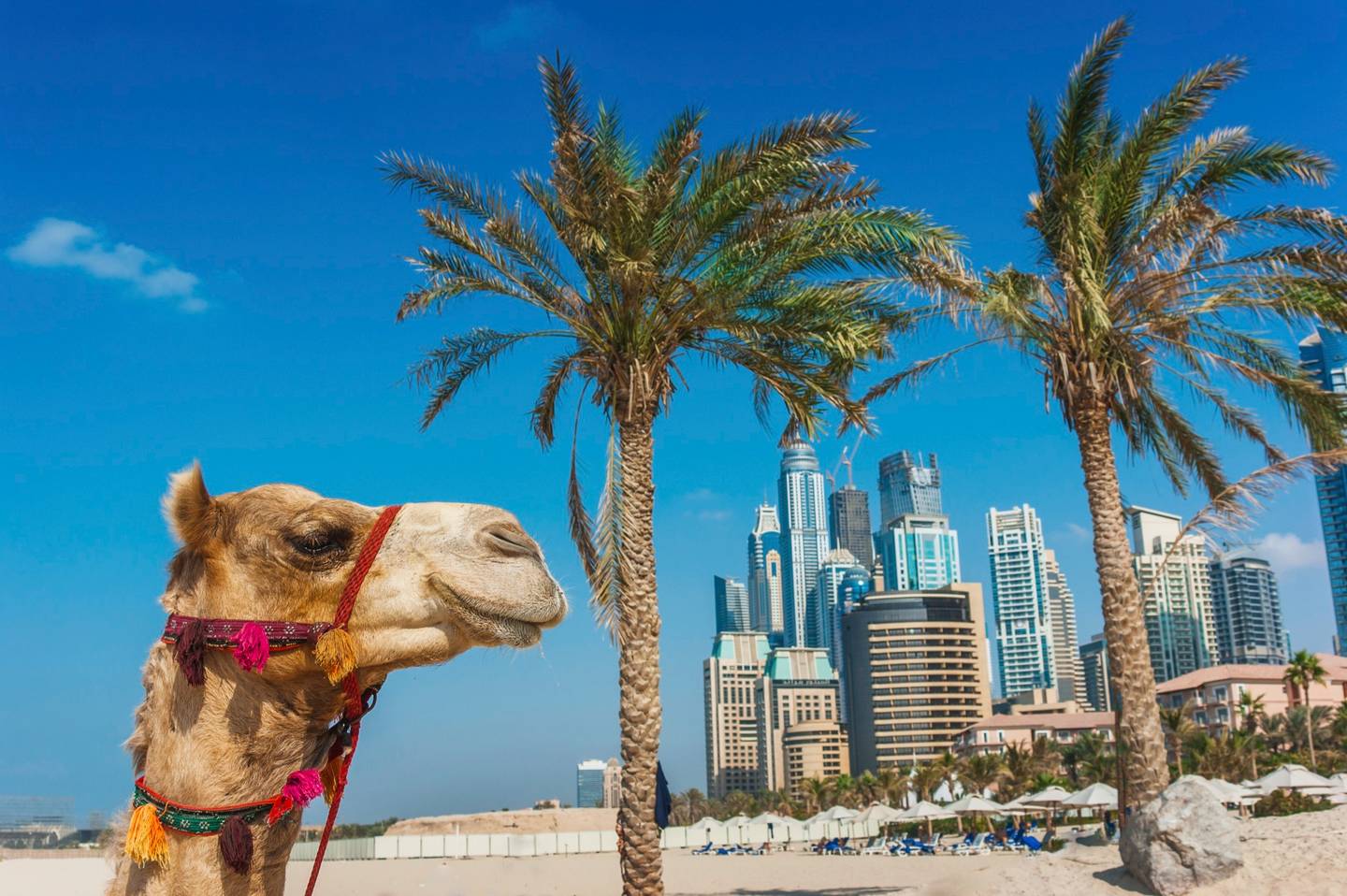 bltfda8619a5d19e5a7-vae-dubai-t-178540168.jpg vae-dubai-t-178540168.jpg