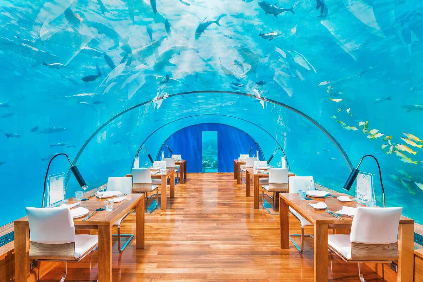 luxus-unterwasserrestaurants-malediven-ithaa-undersea-MLE13102_Ithaa_DER1405375.jpg