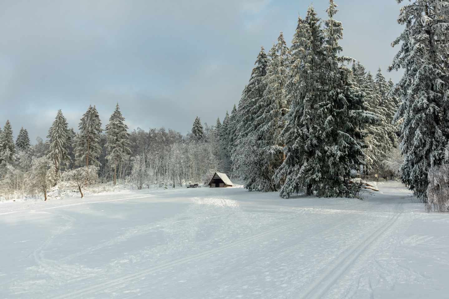 deutschland-thueringen-oberhof-wald-winter-g-1465625336.jpg