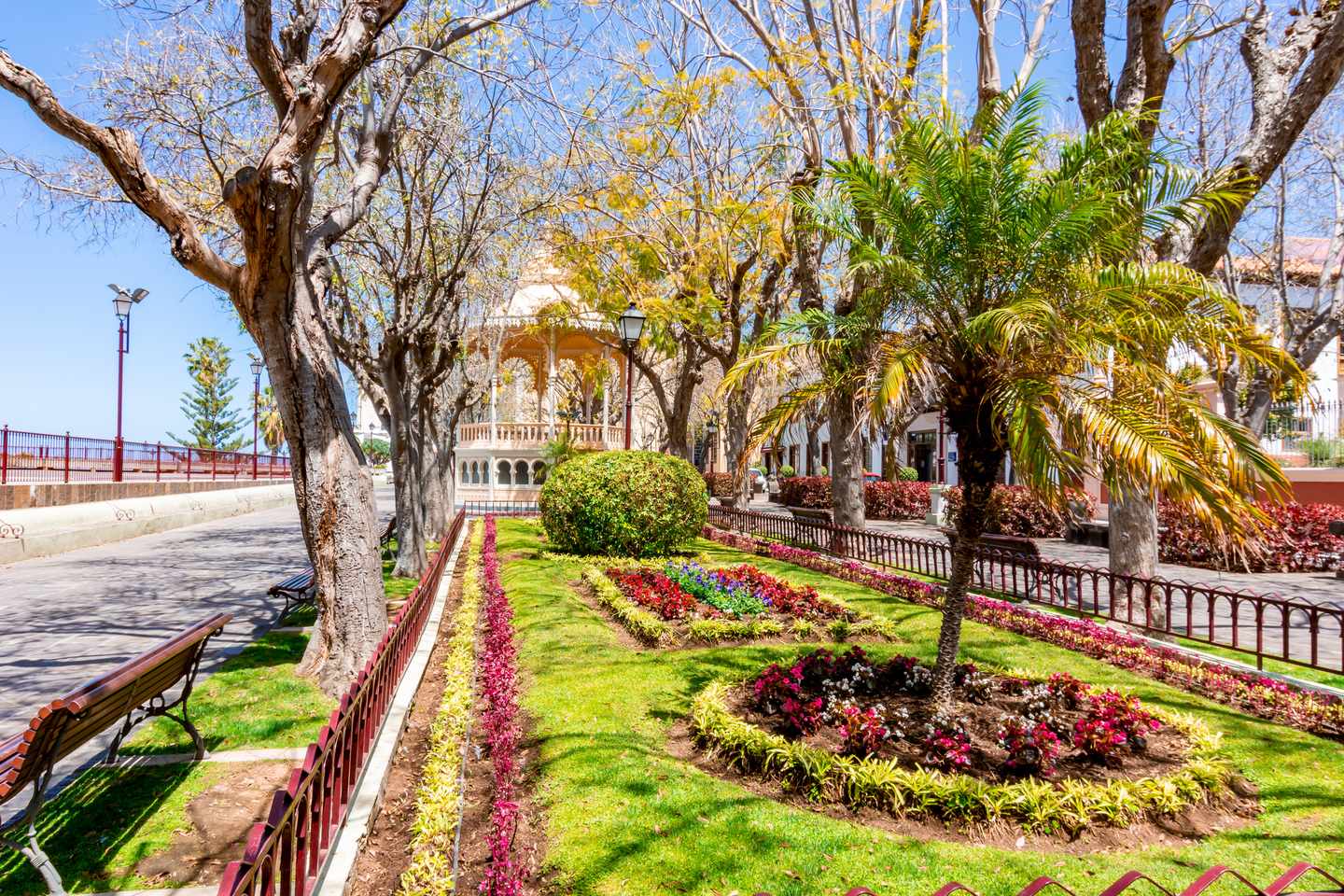 spanien-kanaren-teneriffa-la-orotava-verfassungsplatz-g-1309800319.jpg