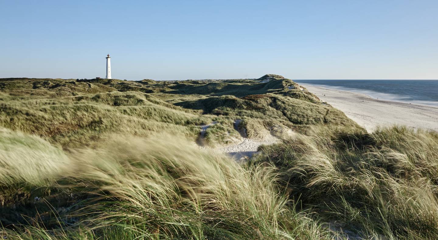 blt576c22f53cce834a-daenemark-nordseekueste-mit-duenen-g-625803700_bearbeitet.jpg daenemark-nordseekueste-mit-duenen-g-625803700_bearbeitet.jpg