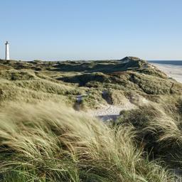 daenemark-nordseekueste-mit-duenen-g-625803700_bearbeitet.jpg