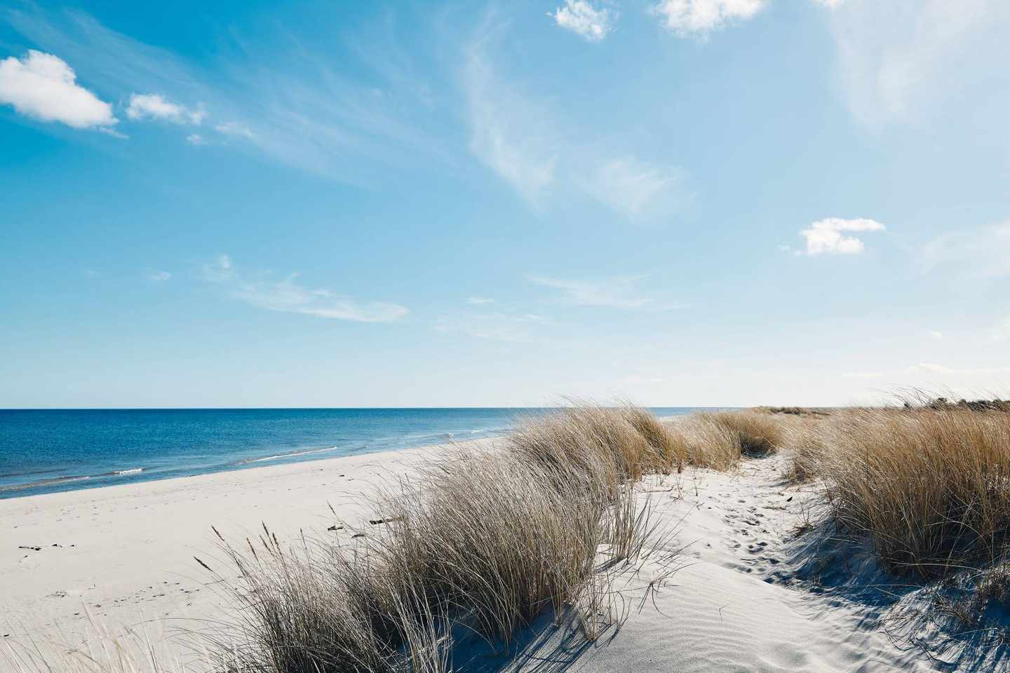 dänemark-marram-gras-strand-g-1161428266.jpg