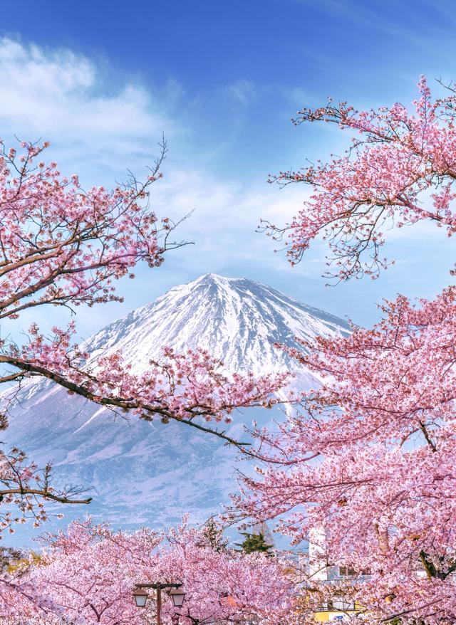 Japan beste Reisezeit