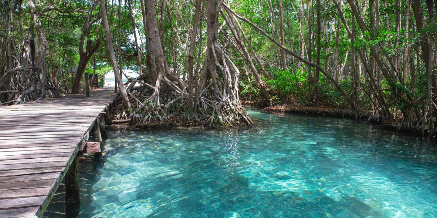 mexiko-yucatan-celestun-lagune-g-478372428.jpg