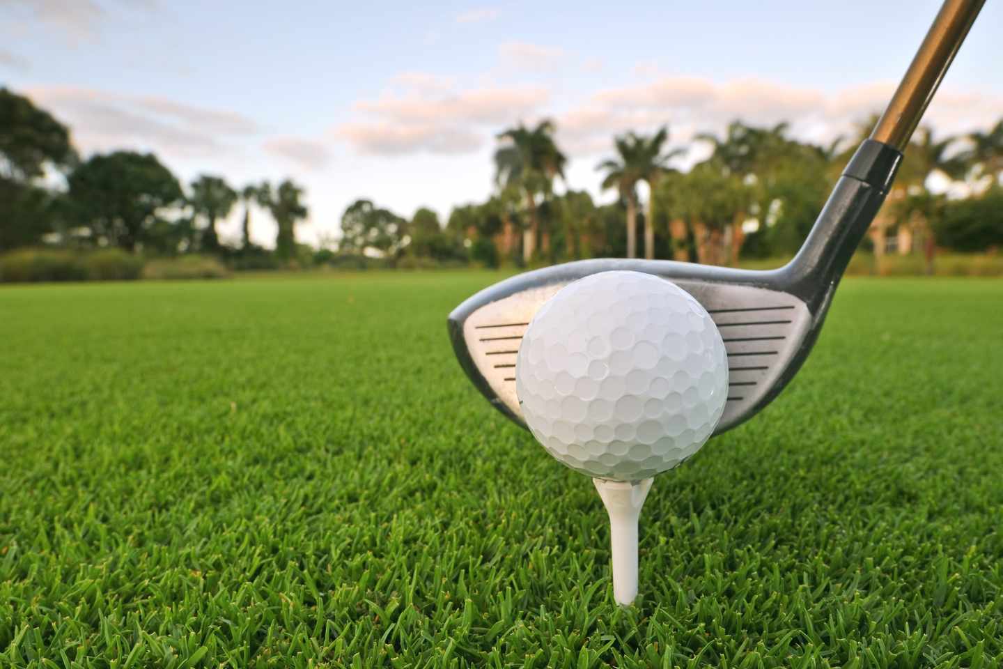 usa-florida-golfball-g-147708728.jpg