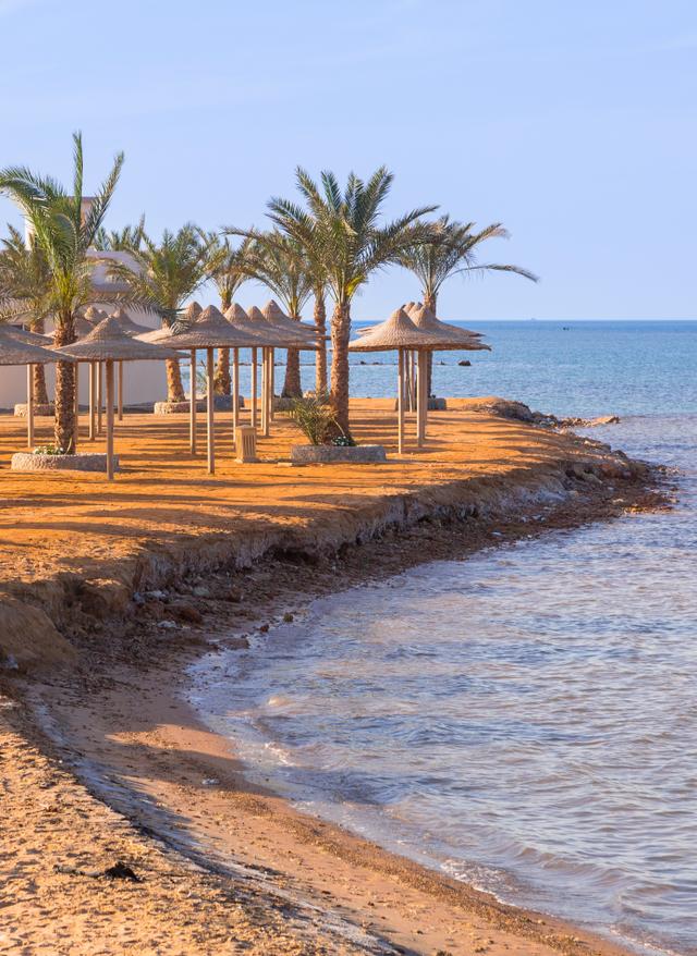 Aktivurlaub in Hurghada aegypten-hurghada-strand-schirme-meer-g-980395686.jpg