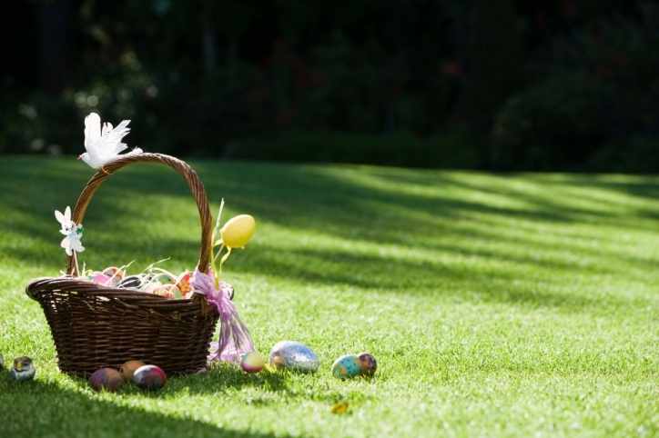 ostern-osterkorb-wiese-t-86495875.jpg