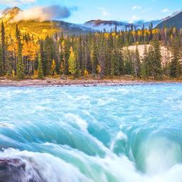 Jasper Hotels