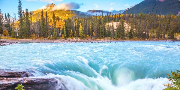 jasper-kanada-t-513369830.jpg