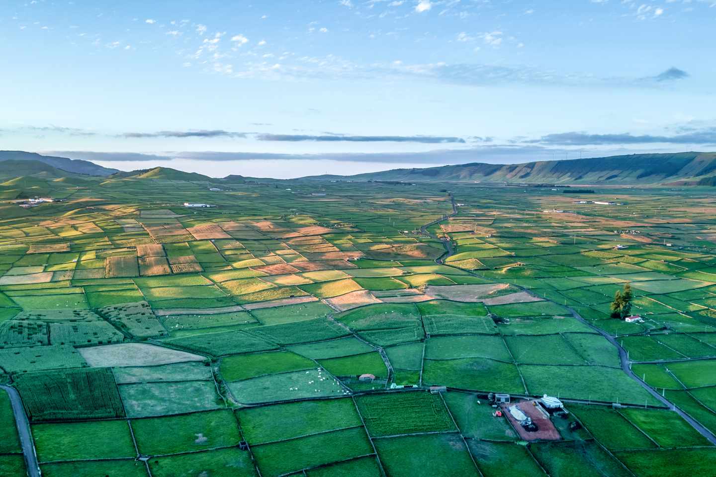 portugal-azoren-terceira-wiesen-und-felder-g-1783956746.jpg