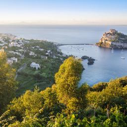 italien-kampanien-ischia-g-1127612124.jpg