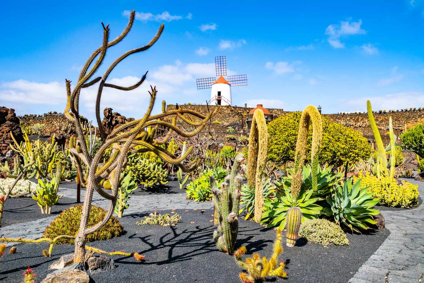 kanaren-lanzarote-g-1254409362.jpg