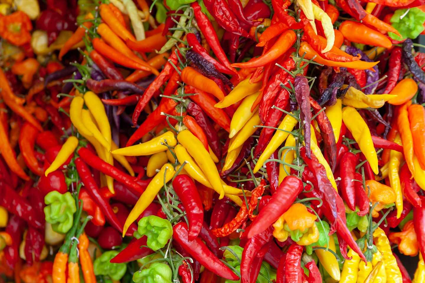 chili-g-1177836018.jpg
