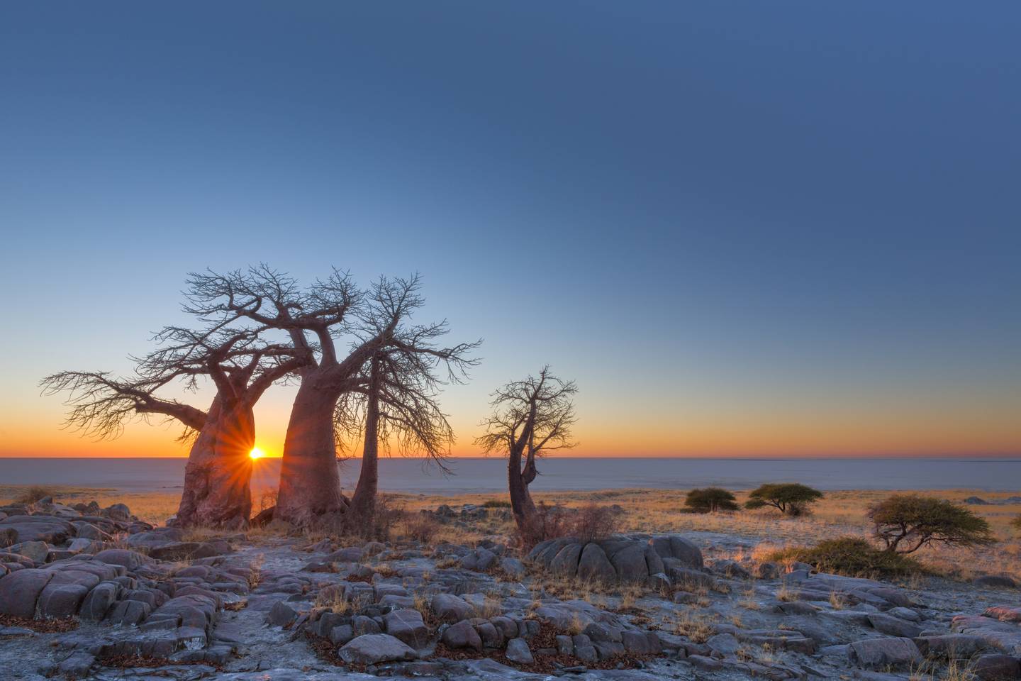 blt84fd3821946d79b7-botswana-kubu-island-t-621141618.jpg botswana-kubu-island-t-621141618.jpg