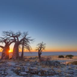 botswana-kubu-island-t-621141618.jpg