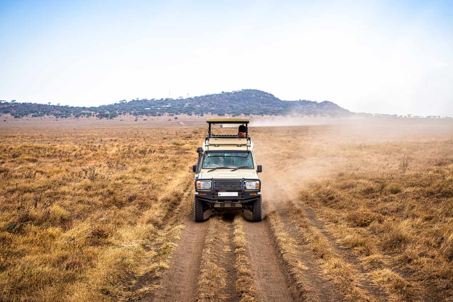 afrika-safari-wagen-g-2187481014.jpg