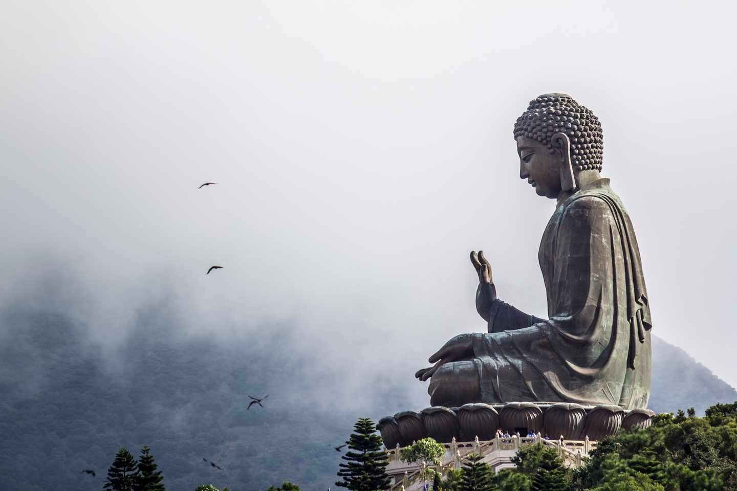 china-hongkong-big-buddha-t-512597046.jpg