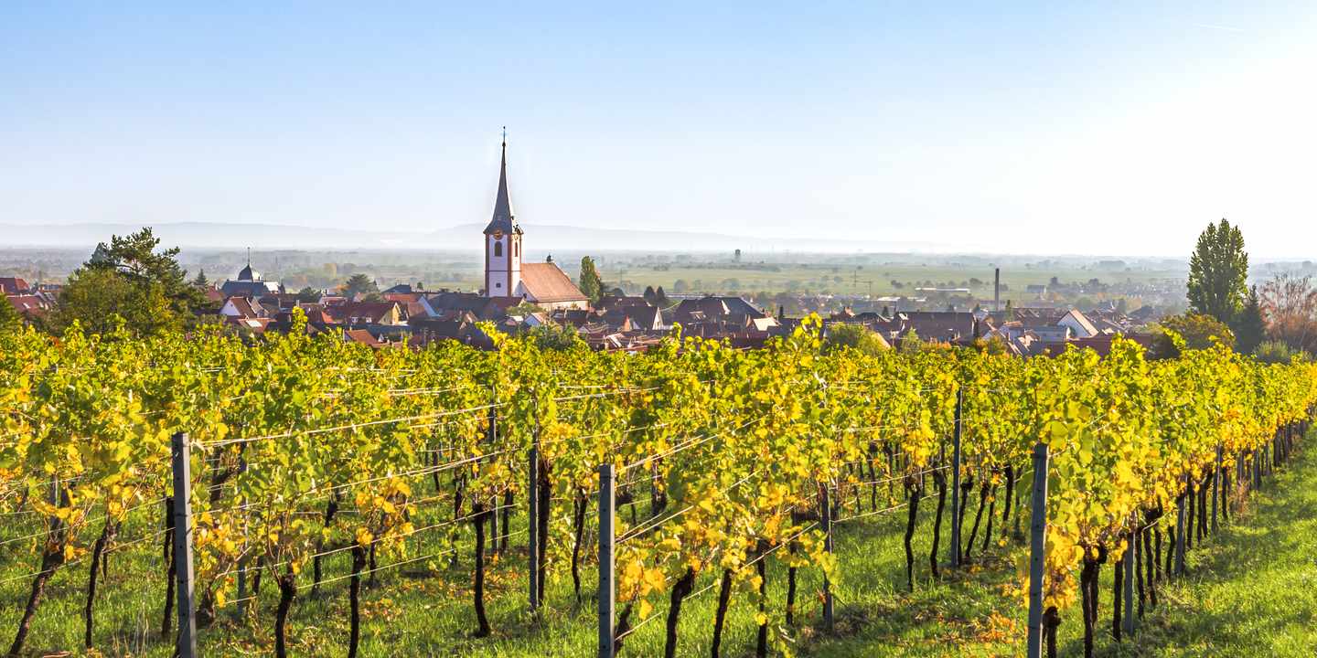 deutschland-roadtrips-deutsche-weinstrasse-weinberge-g-1568936852.jpg