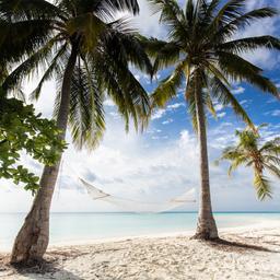 Malediven-Hängematte-am-Strand-g-1384250414.jpg