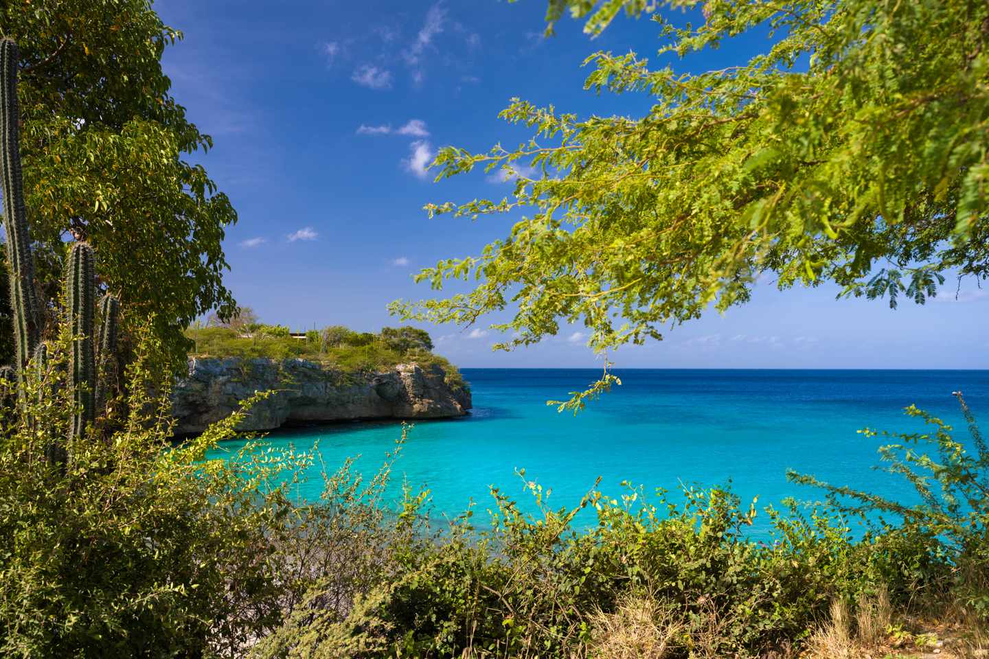 curacao-playa-jeremi-strand-g-1614927245.jpg