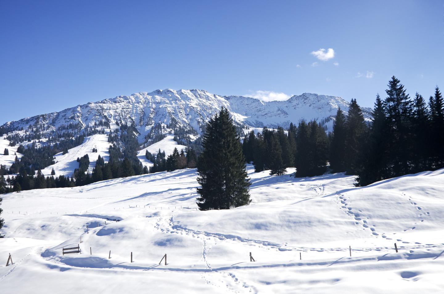 blt10eed74a1bece1bd-deutschland-allgaeu-g-482986913.jpg deutschland-allgaeu-g-482986913.jpg