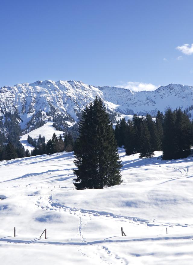 Wintersport im Allgäu