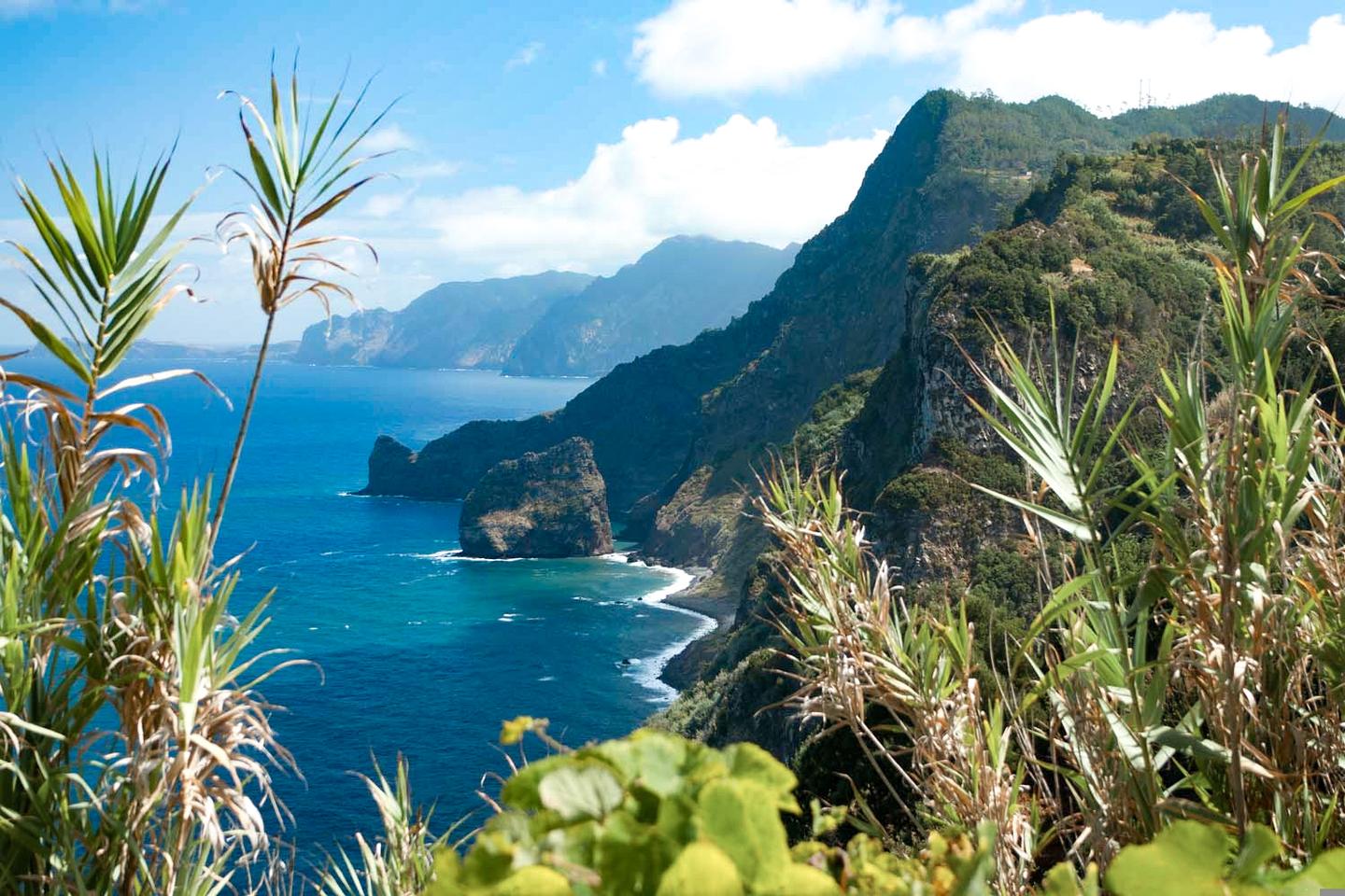 madeira-ponta-do-clerigo-t-121357957.jpg