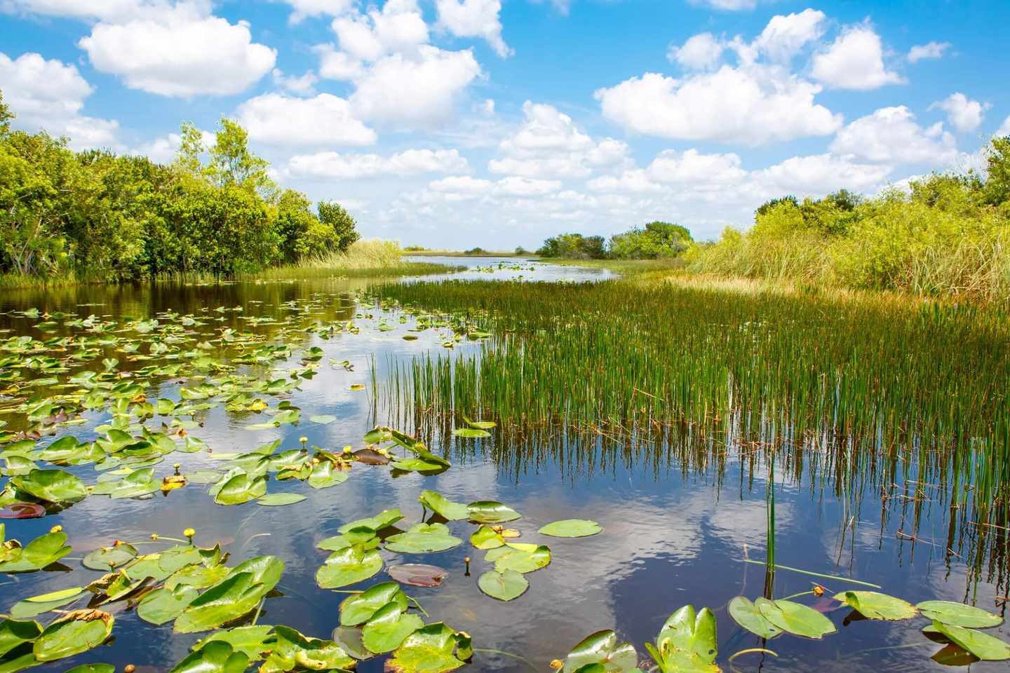 usa-florida-everglades-national-park-627297432.jpg