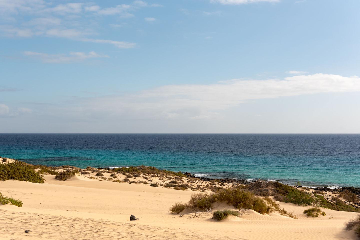 spanien-fuerteventura-dunas-de-corralejo-natur-park-duenen-meeresblick-g-1281670296.jpg