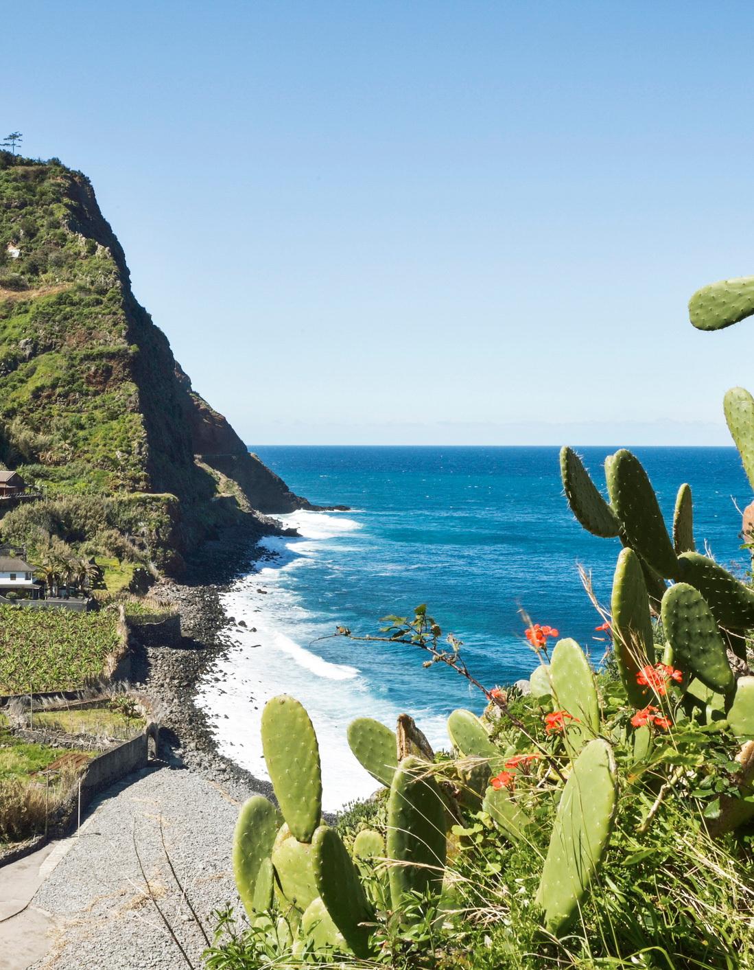 bltf3541f9c089fb726-Portugal-Madeira-Nordk_ste-teaser-g-801888594.jpg Portugal-Madeira-Nordküste-teaser-g-801888594.jpg