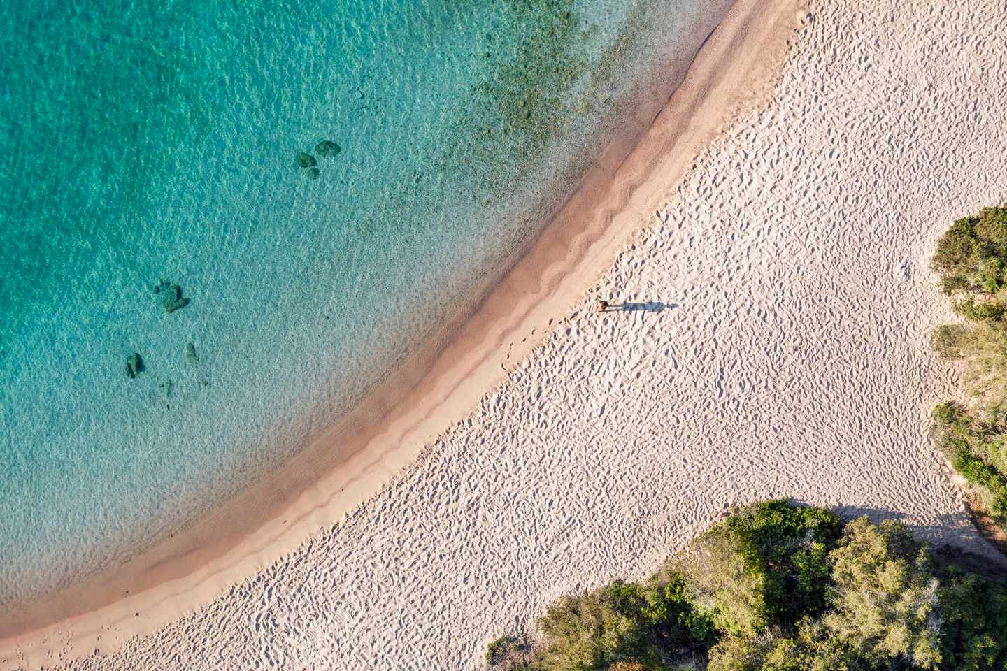 italien-costa-smeralda-blick-von-oben-atemberaubende-luftaufnahme-einer-person-die-an-einem-wunderschönen-strand-spazieren-geht-der-von-einem-türkisfarbenen-meer-umpspürt-wird-g-1337921663.jpg