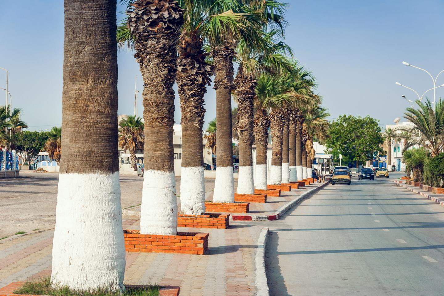 Palmengezierte Straße auf Djerba
