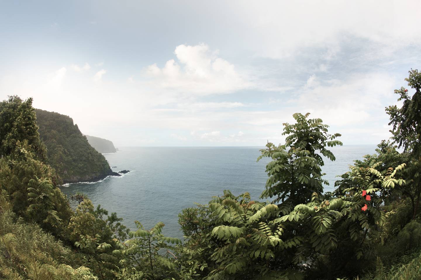 blt7f925e5254d4eef2-usa-hawaii-maui-road-to-hana-g-595152570.jpg usa-hawaii-maui-road-to-hana-g-595152570.jpg