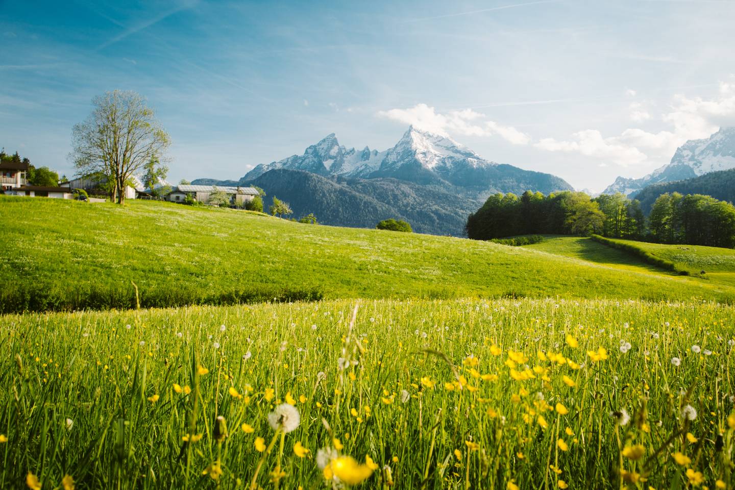 blte9ae360f85704baf-deutschland-berchtesgaden-watzmann-gipfel-blumenwiese-g-1137991414.jpg deutschland-berchtesgaden-watzmann-gipfel-blumenwiese-g-1137991414.jpg