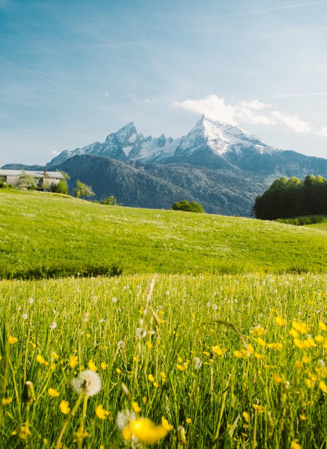Urlaub in den Bergen deutschland-berchtesgaden-watzmann-gipfel-blumenwiese-g-1137991414.jpg