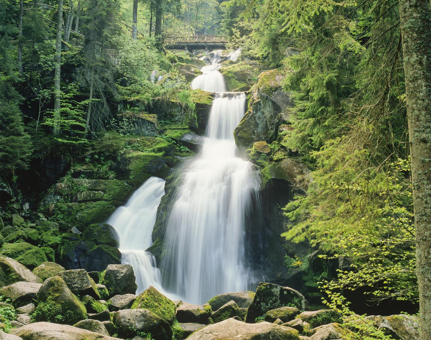 europa-deutschland-triberg-wasserfälle-im-grünen-g-172175039.jpg