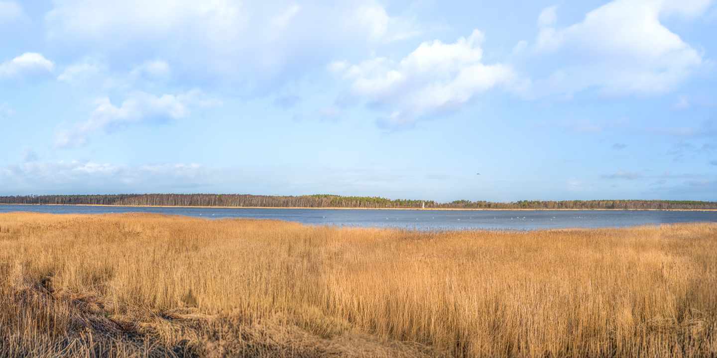deutschland-ostsee-nationalpark-vorpommersche-boddenlandschaft-g-2202460940.jpg