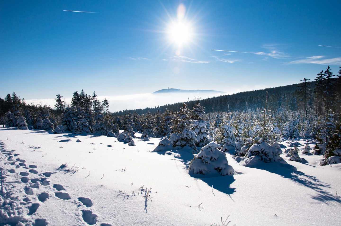 harz-winter-brocken-sonne-g-497486038.jpg
